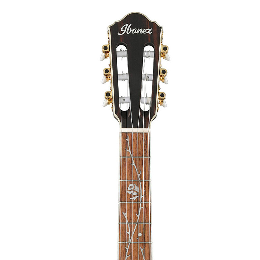 超爆安 Ibanez TOD10NL-TKF ケース付き ギター